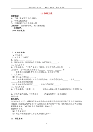 高中政治第一课 第一框 体味文化教案新人教版必修2