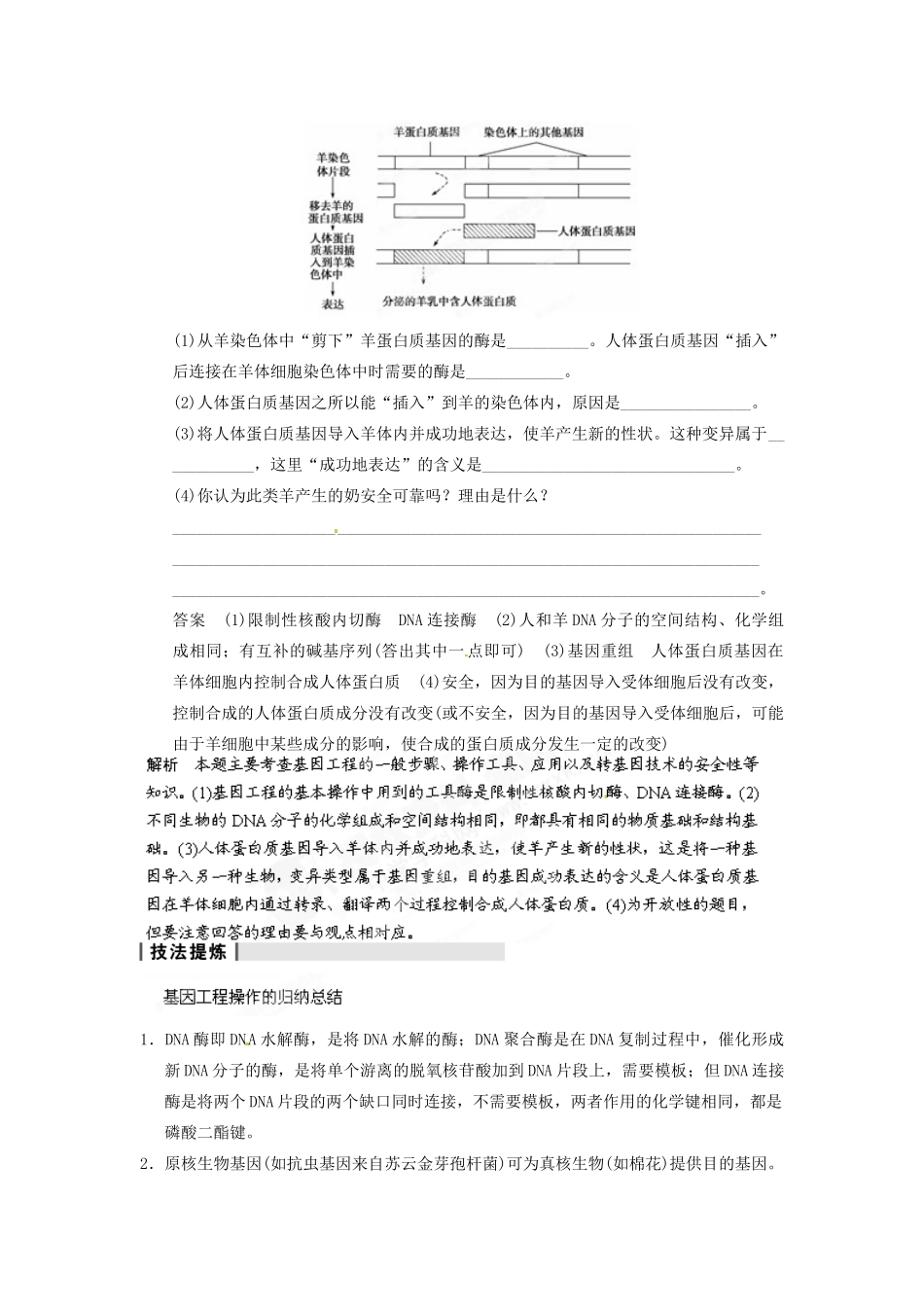 重庆市万州分水中学高考生物 第6章《从杂交育种到基因工程异》考点复习一 基因工程育种 新人教版必修2_第2页
