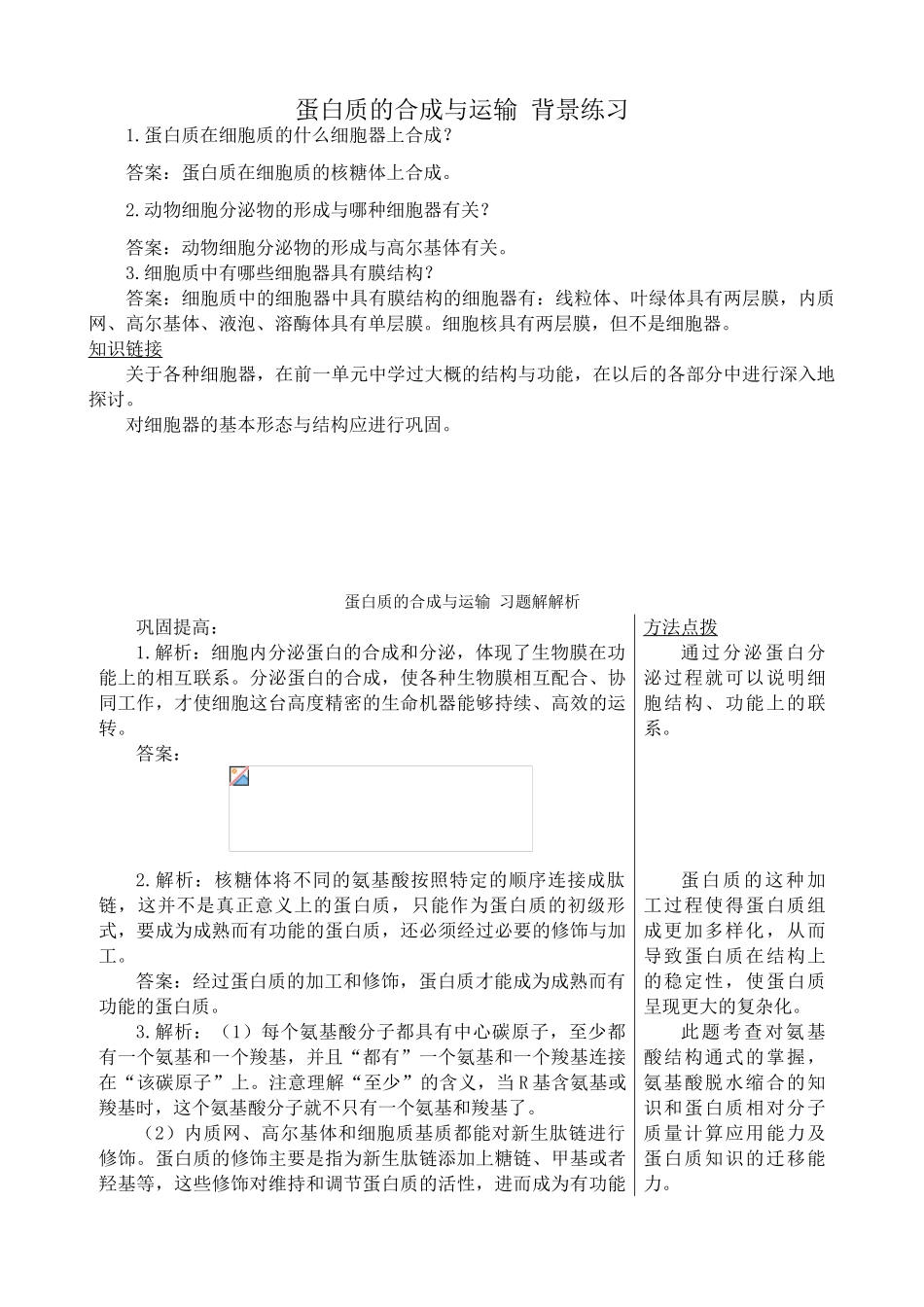 中图版高中生物必修1蛋白质的合成与运输_第1页
