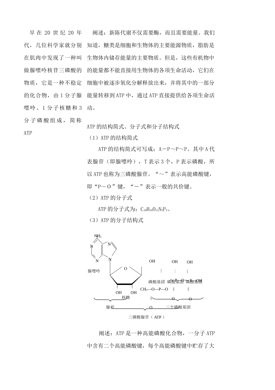 苏教版高中生物必修1ATP和酶3_第2页