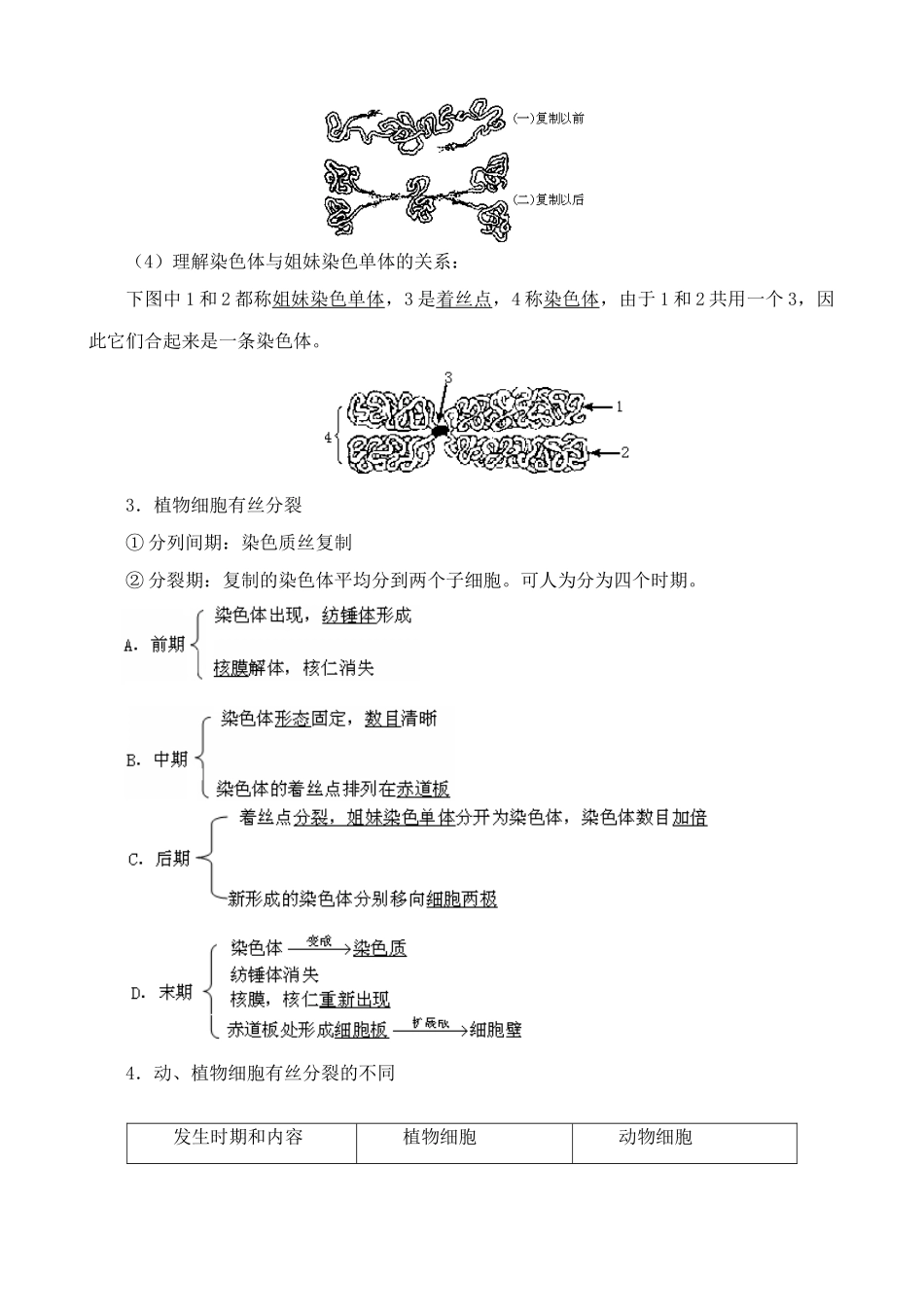 苏教版高中生物必修1细胞增殖1_第2页