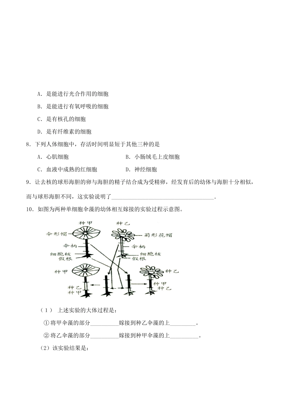 山西省运城市康杰中学高中生物 3.3 细胞核 系统的控制中心同步练习（一）新人教版必修1_第2页