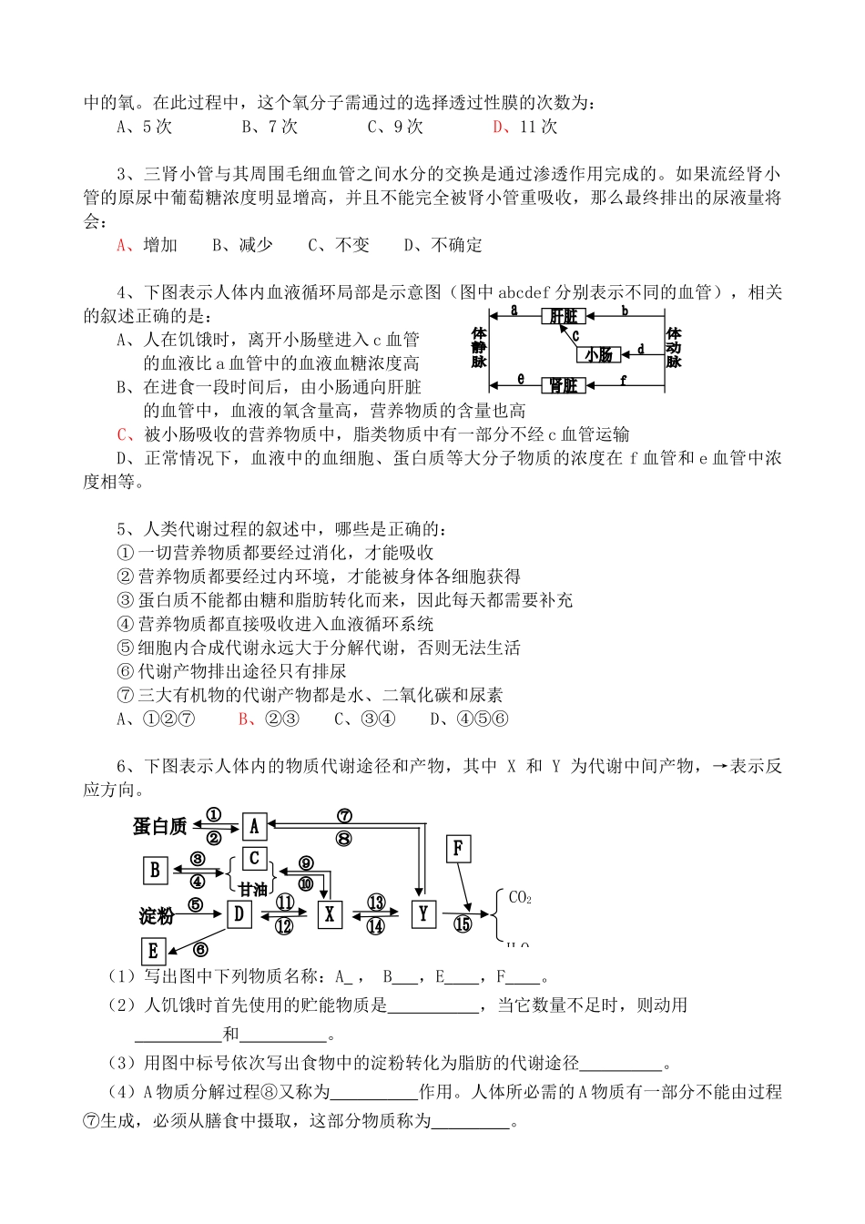 人教版高中生物必修1人和动物体内三大营养物质的代谢_第2页
