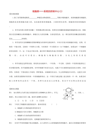 山西省运城市康杰中学高中生物 3.3 细胞核 系统的控制中心同步练习 新人教版必修1