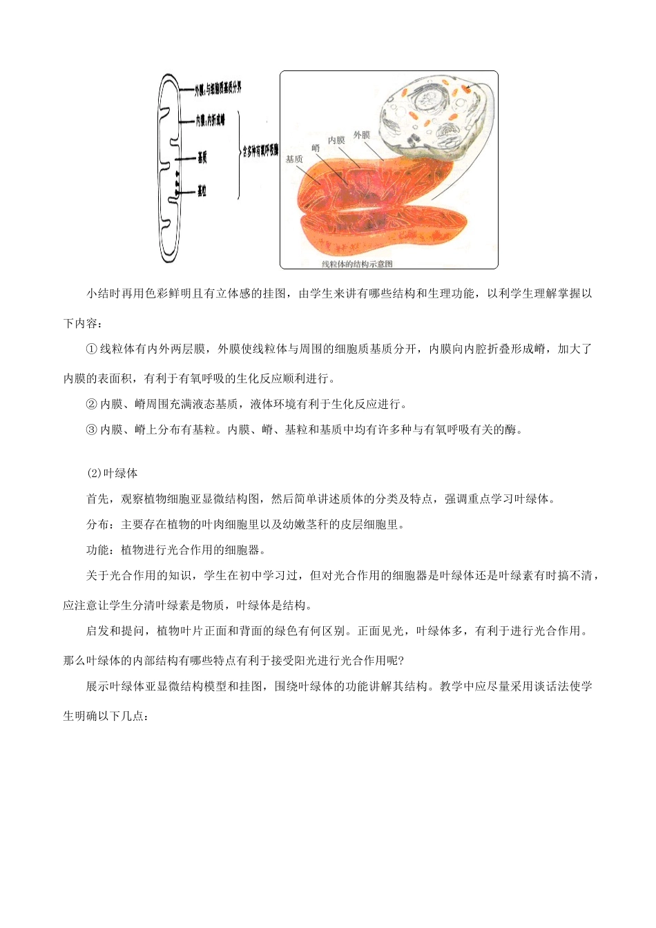 人教版高中生物必修1细胞质的结构和功能2_第3页