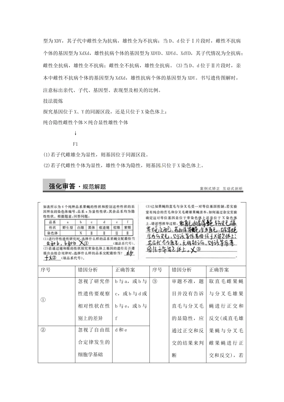 重庆市万州分水中学高考生物 第2章《基因和染色体的关系》考点复习五 聚焦性染色体的同源区段和非同源区段 新人教版必修2_第3页