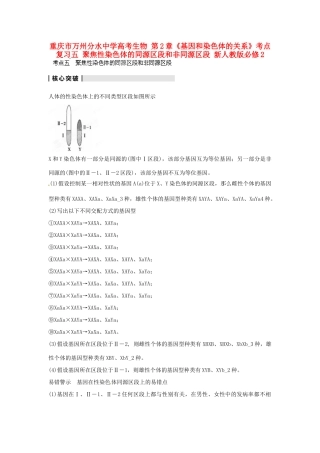 重庆市万州分水中学高考生物 第2章《基因和染色体的关系》考点复习五 聚焦性染色体的同源区段和非同源区段 新人教版必修2