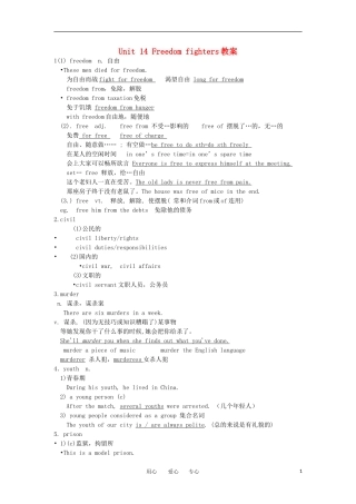 高二英语 Unit 14 Freedom fighters教案3 旧人教版