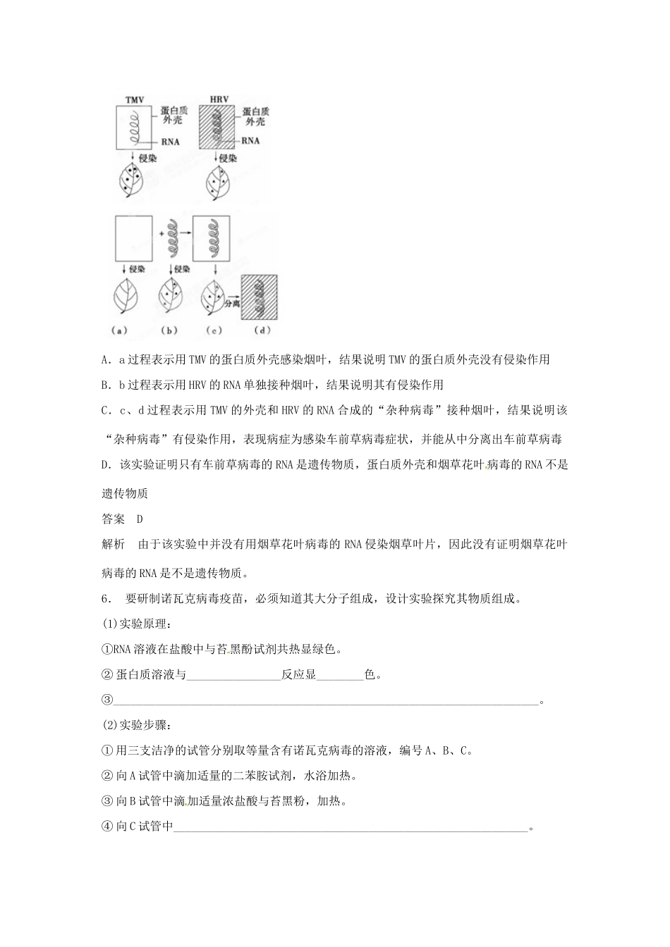 重庆市万州分水中学高考生物 第3章《基因的本质》考点复习三 聚焦生物的遗传物质 新人教版必修2_第2页