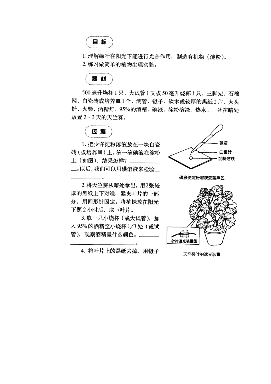 八年级科学下册：第2章第5节 光合作用（4课时）教案（浙教版）_第3页