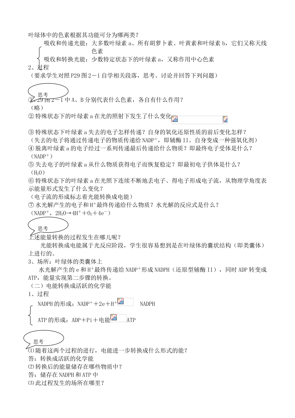 人教版高中生物选修光合作用 光能在叶绿体中的转换_第2页