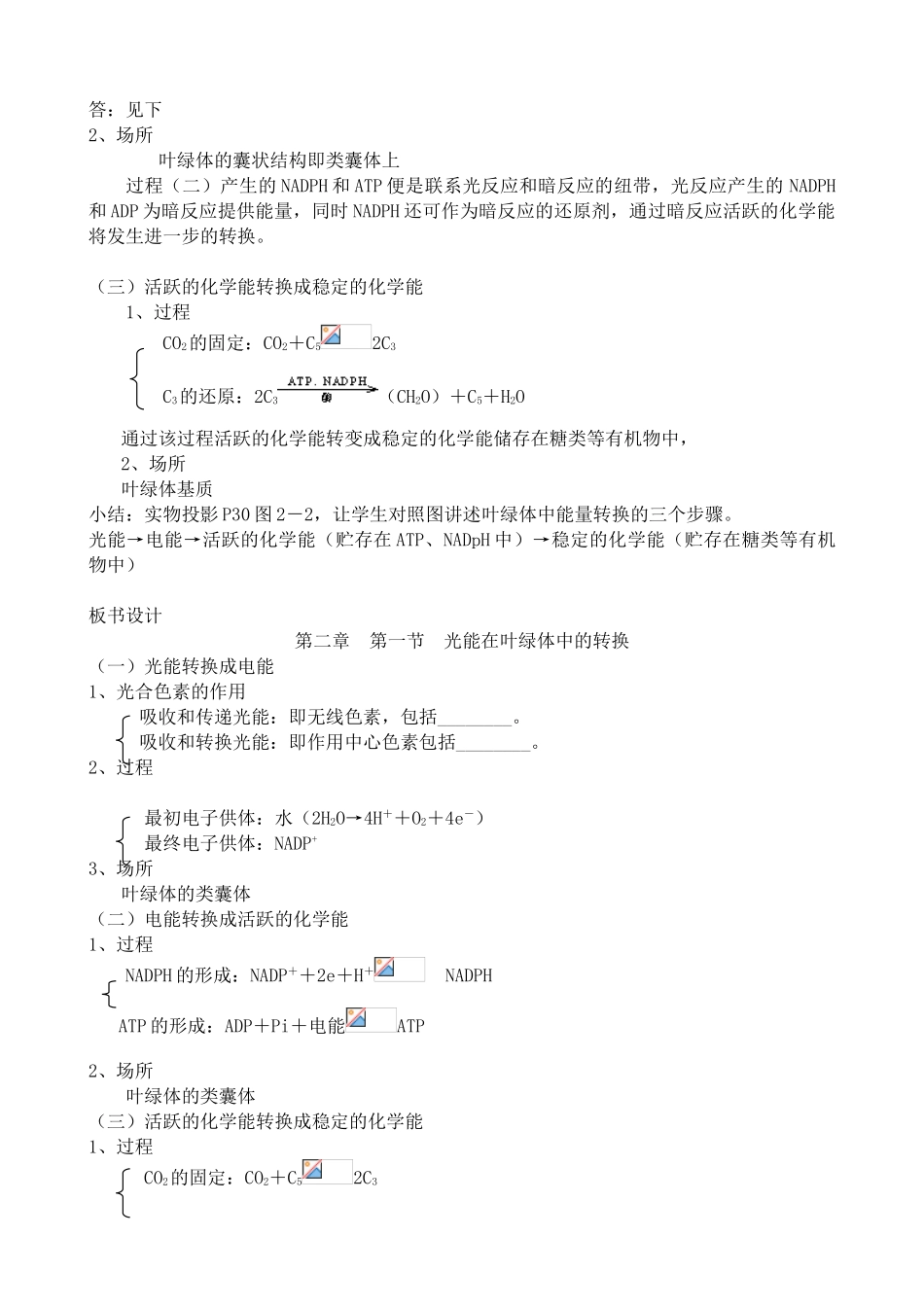 人教版高中生物选修光合作用 光能在叶绿体中的转换_第3页