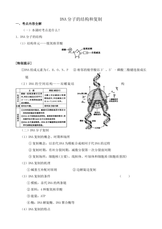 新人教版高中生物必修2DNA分子的结构和复制2