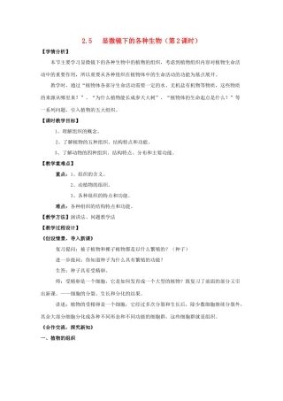 七年级科学上册《显微镜下的各种生物》教案13 浙教版