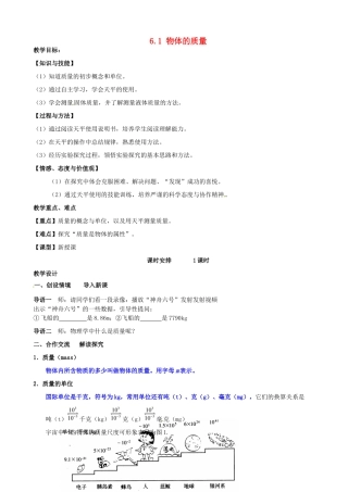 江苏省南京市长城中学八年级物理下册《6.1 物体的质量》教案 苏科版