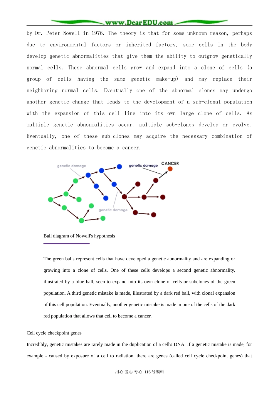 高中英语必修9Module2 Section 2 Background information_第3页