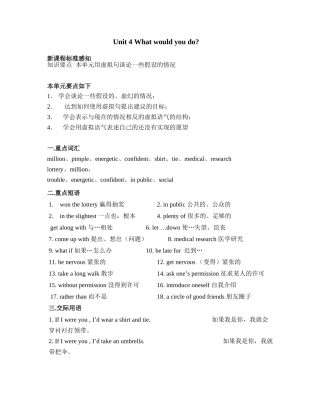 九年级英语Unit4 What would you do教案 人教新目标版