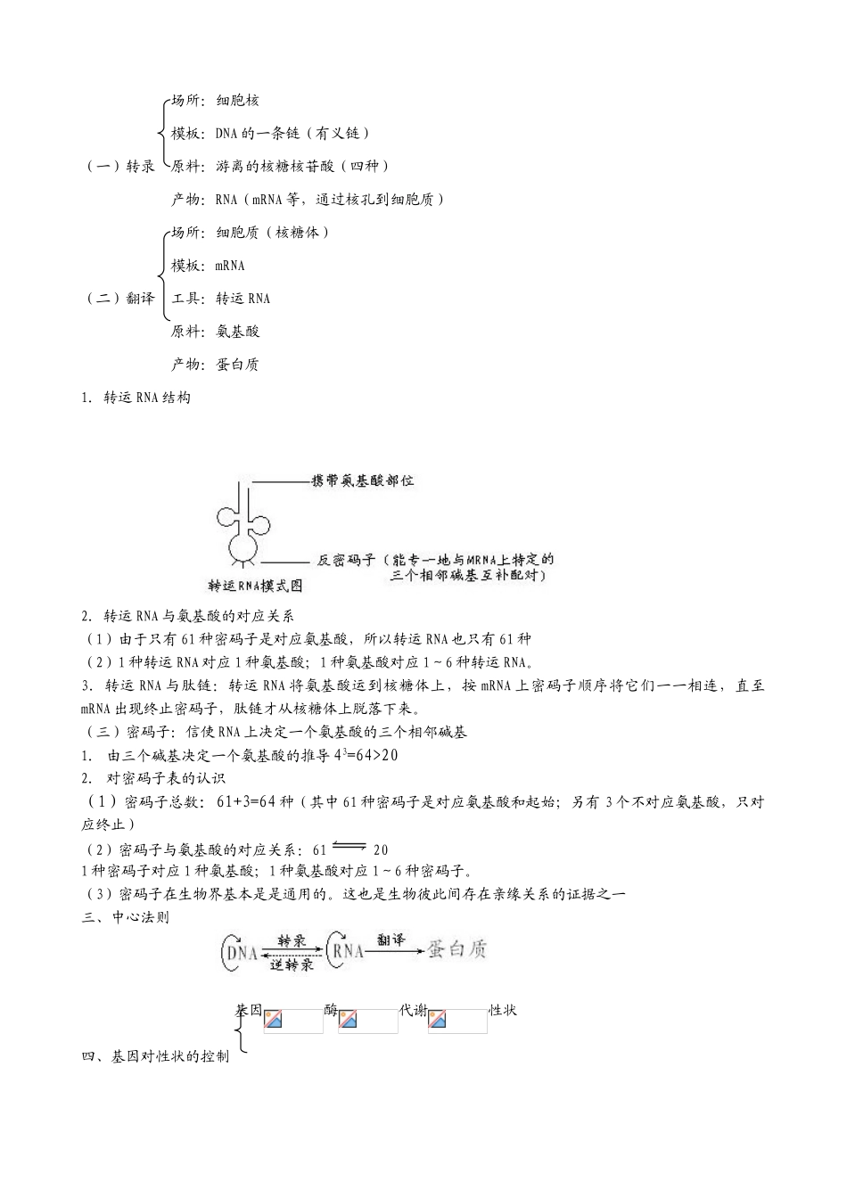 人教版高中生物必修2基因的表达2_第2页