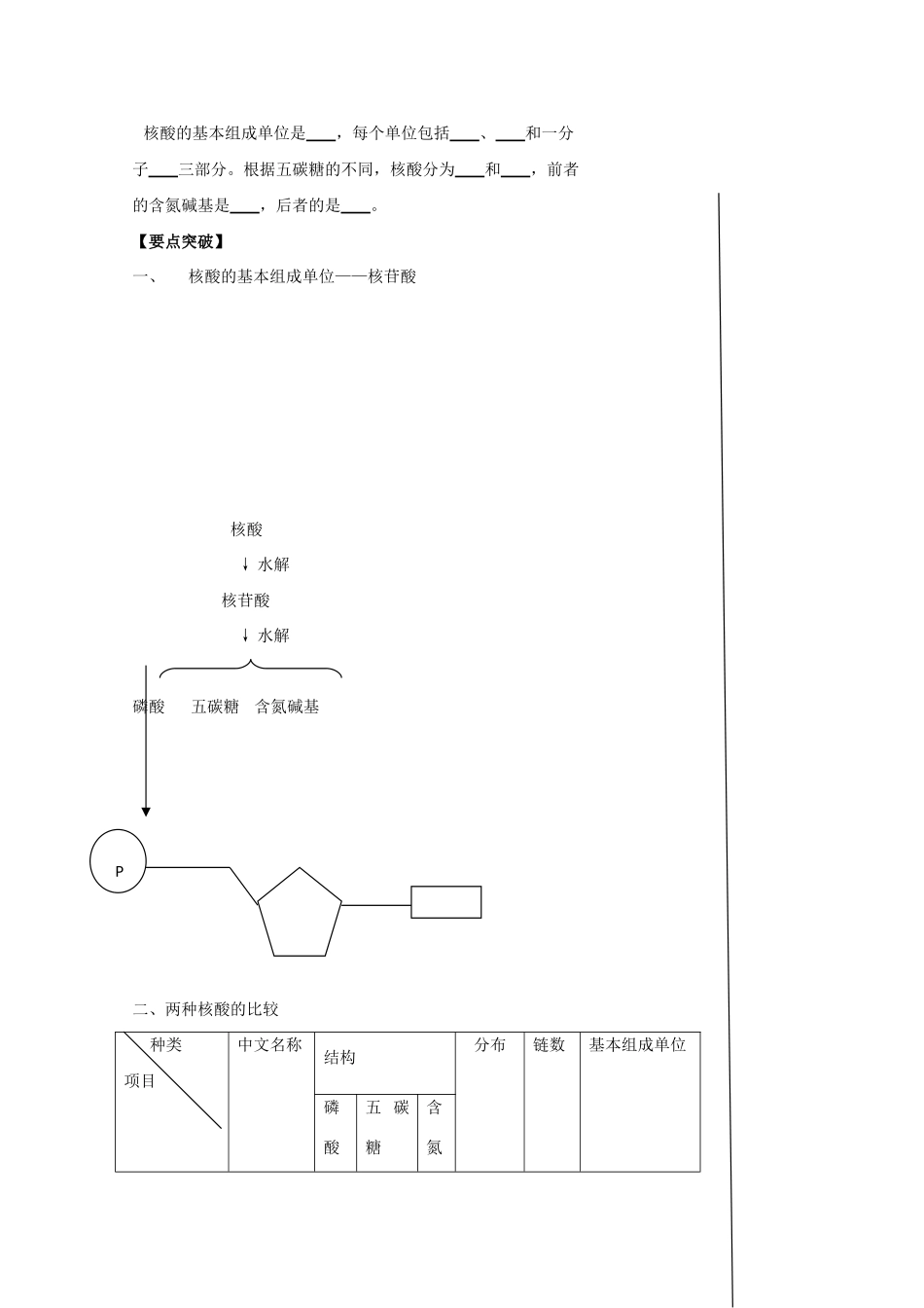 江苏省泰州实验中学高中生物教案：2.3《 遗传信息的携带者——核酸》高中生物教案（新人教必修1）_第2页
