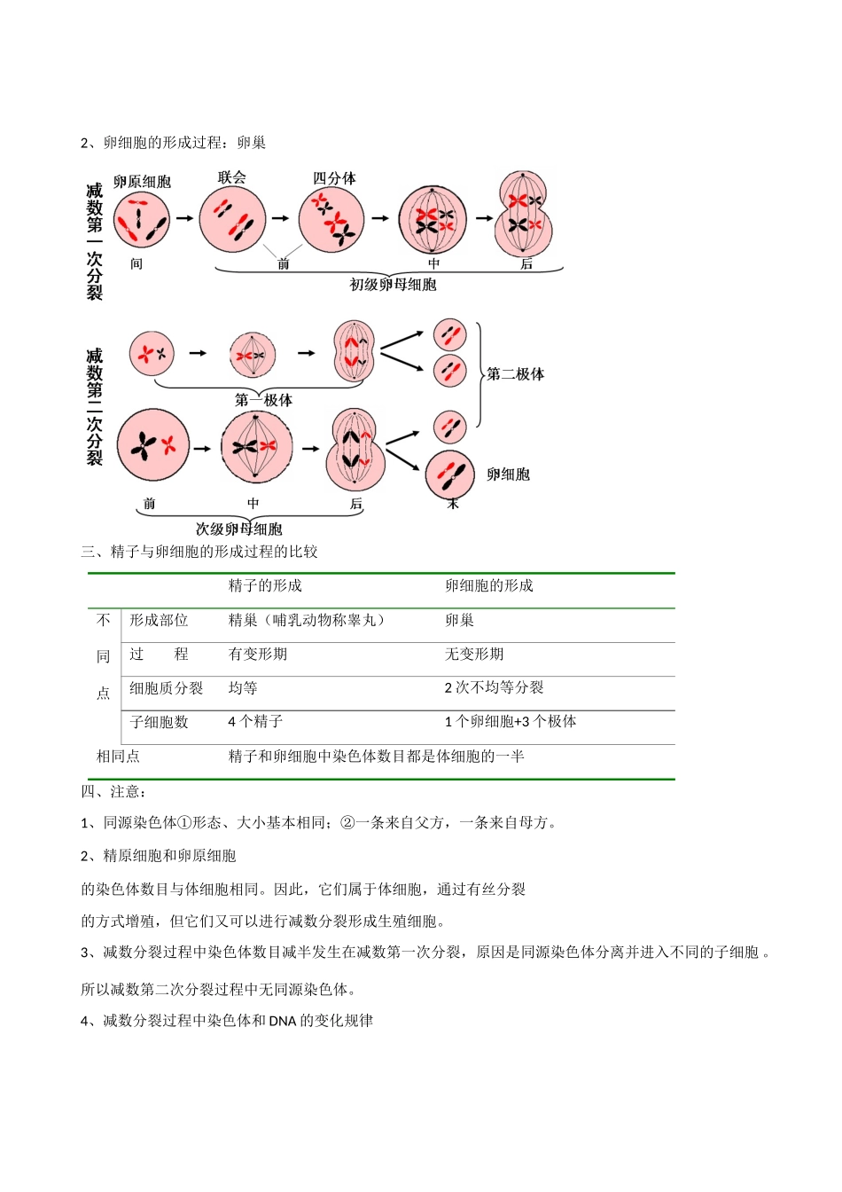 江苏省海头高级中学高中生物 减数分裂学业水平测试复习提纲 新人教版必修2_第2页