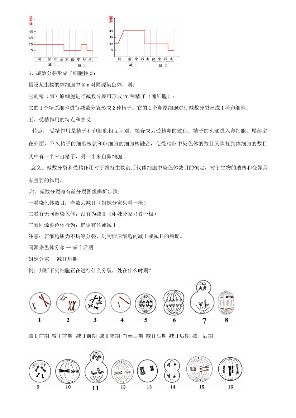 江苏省海头高级中学高中生物 减数分裂学业水平测试复习提纲 新人教版必修2_第3页