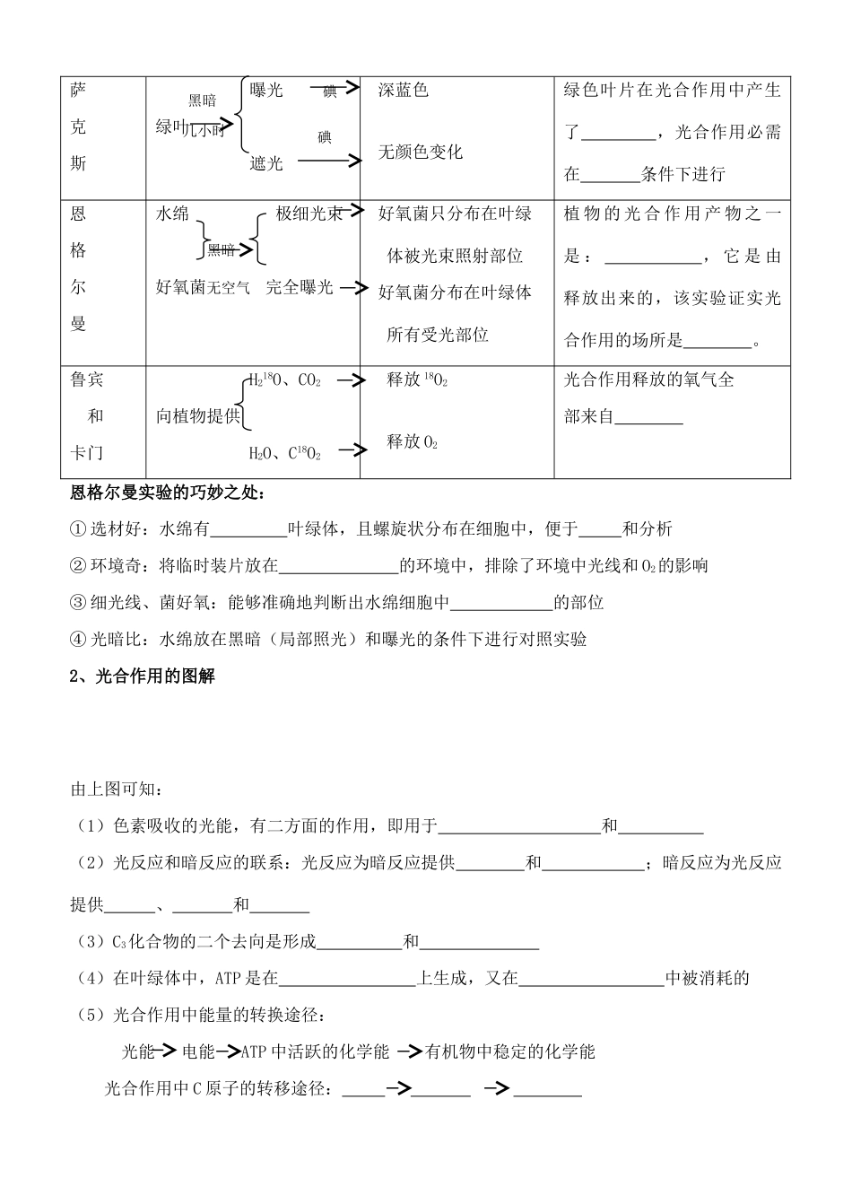 老课标全国人教高三生物复习教案：光合作用_第3页