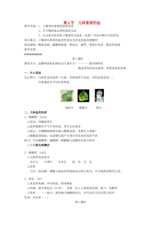 九年级科学上册 第1章 探索物质的变化 第4节 几种重要的盐教案1 浙教版