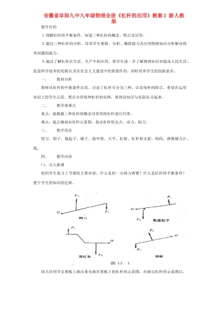 安徽省阜阳九中九年级物理全册《杠杆的应用》教案2 新人教版