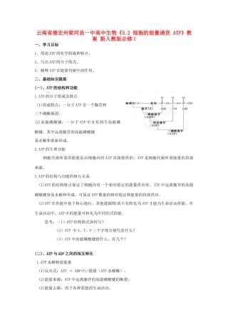 云南省德宏州梁河县一中高中生物《5.2 细胞的能量通货 ATP》教案 新人教版必修1
