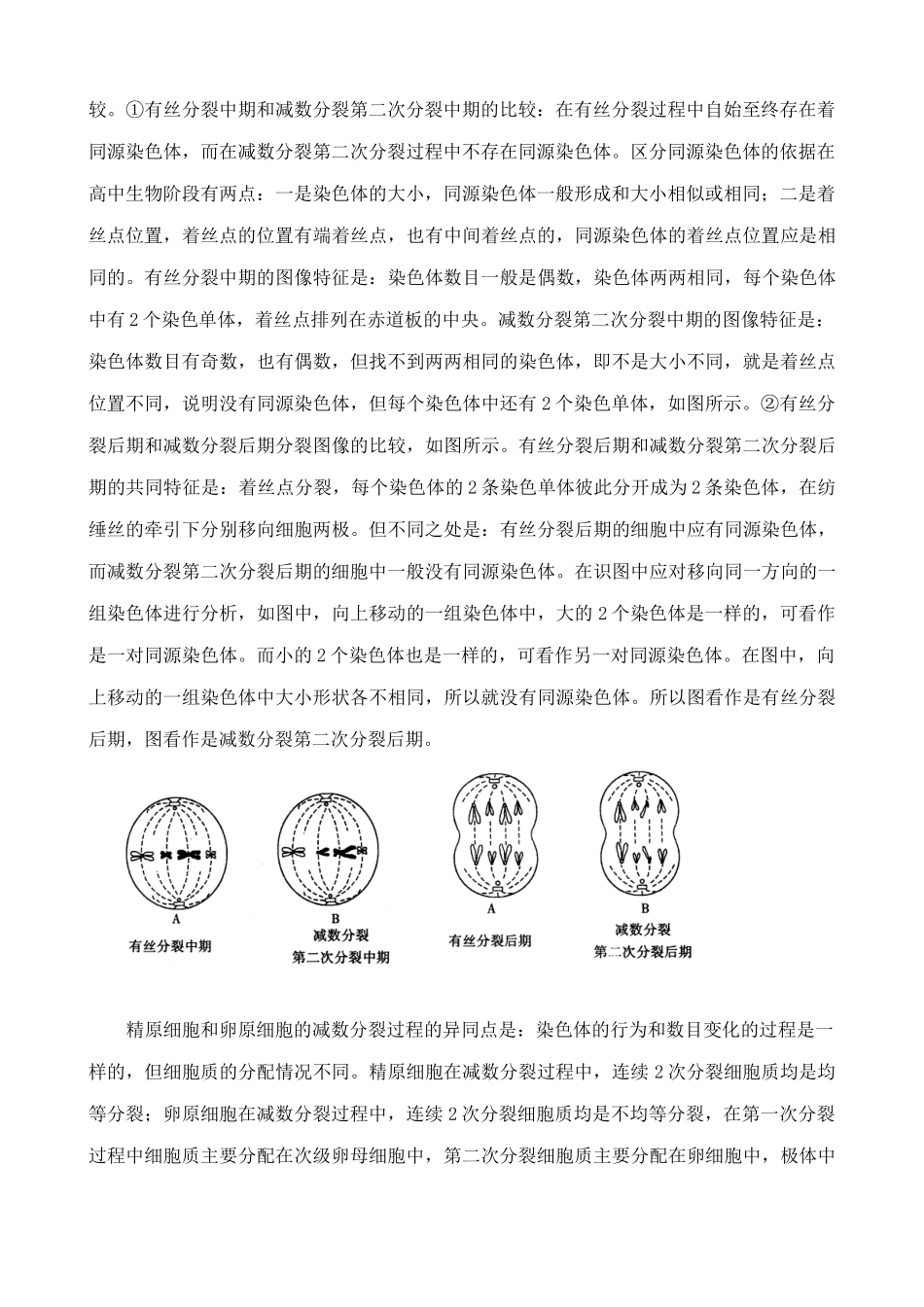 新人教版高中生物必修2减数分裂和受精作用教案_第3页