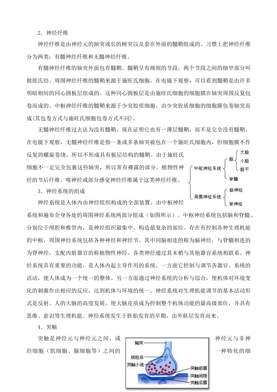 新人教版高中生物必修3通过神经系统调节_第3页