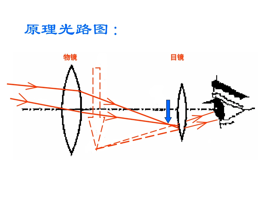 八年级物理上：4.7通过透镜看世界教案教科版_第3页