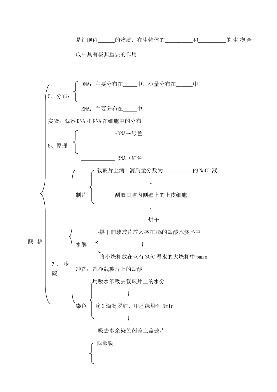 山西省运城市康杰中学高中生物 2.3 遗传信息的携带者 核酸学案 新人教版必修1_第2页