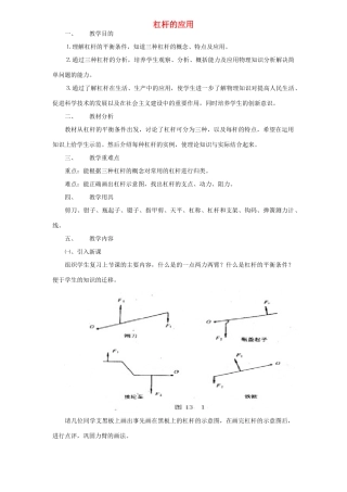 九年级物理 杠杆的应用教学设计方案2人教版