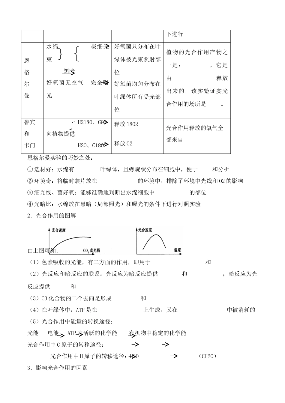 人教版高中生物必修1光合作用1_第3页