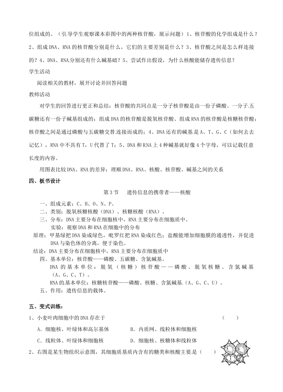 四川省泸县第九中学高中生物 第二章 第3节《遗传信息的携带者》教案 新人教版必修1_第2页