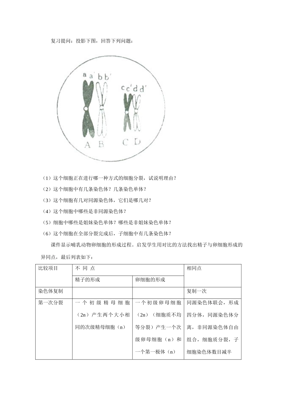 山东临清市高中生物 第二章第1节《减数分裂》教案2 新人教版必修1_第2页