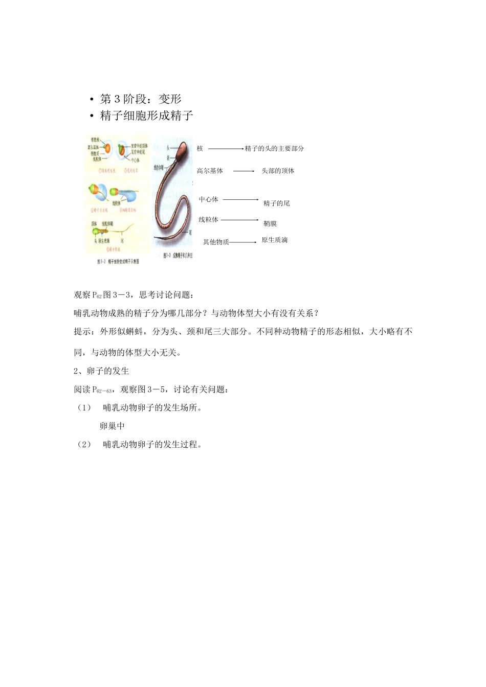 云南省陇川县第一中学高二生物下册 3、1体内受精和早期胚胎发育教案 人教版 _第3页