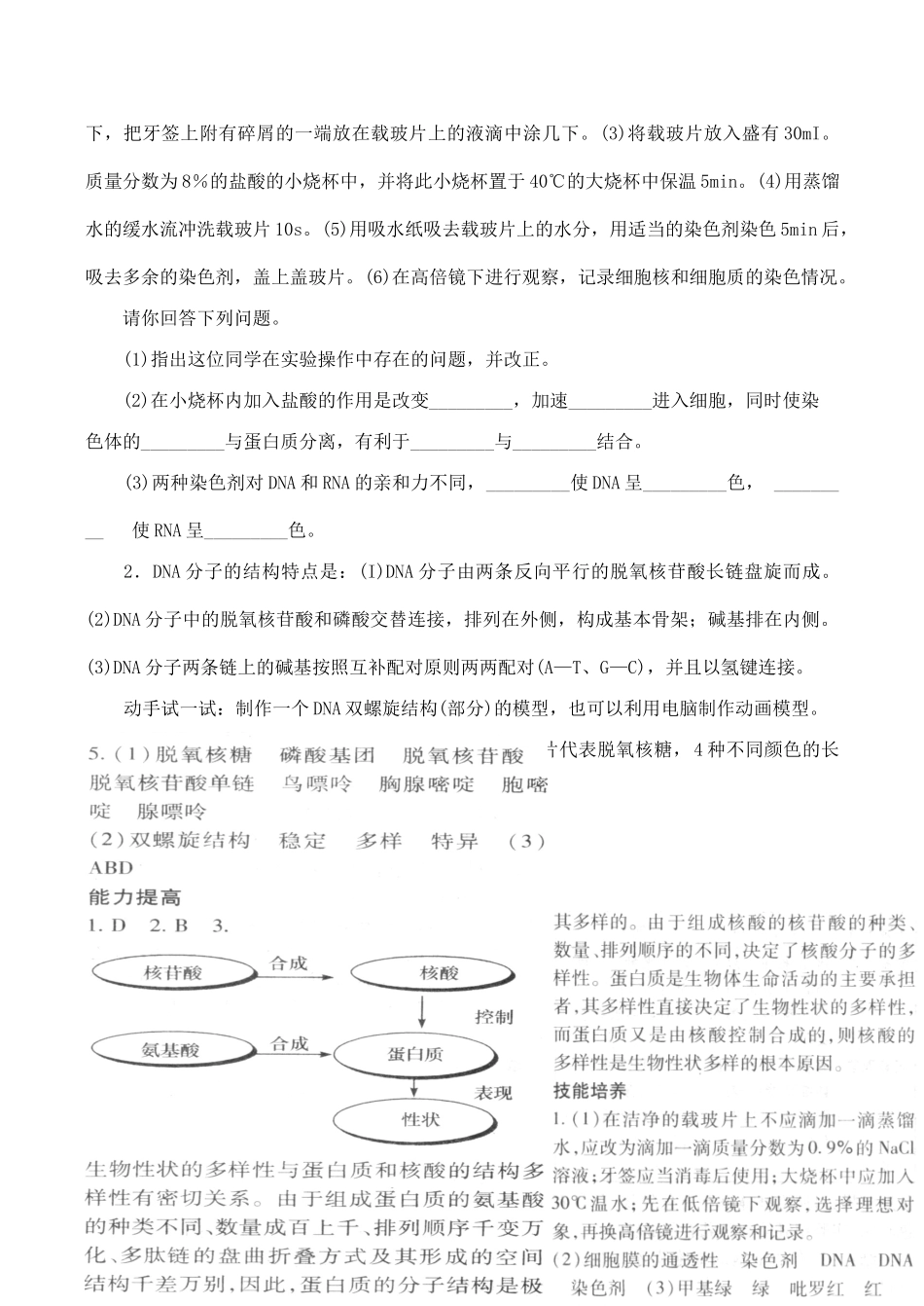 山西省运城市康杰中学高中生物 2.3 遗传信息的携带者 核酸同步练习（四）新人教版必修1_第3页