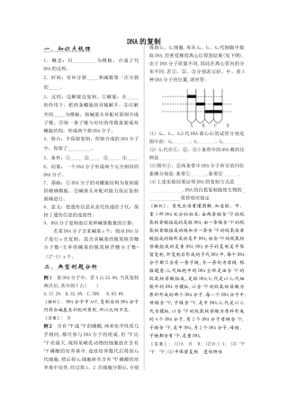 新人教版高中生物必修2DNA的复制1