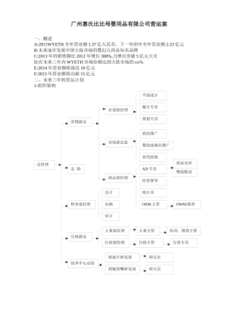 广州惠氏比比母婴用品有限公司营运案