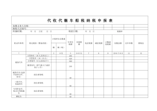 代收代缴车船税纳税申报表