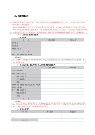 董秘助手财务报表附注模板_半年报(XBRL)