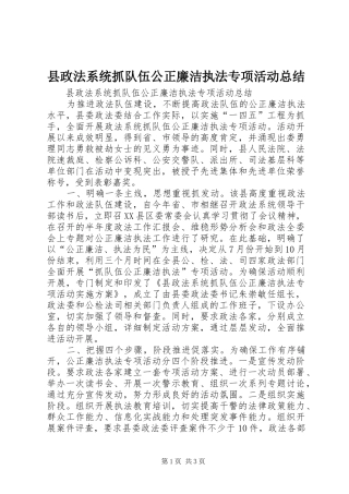 县政法系统抓队伍公正廉洁执法专项活动总结