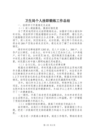 卫生局个人挂职锻练工作总结