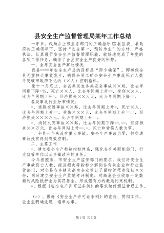 县安全生产监督管理局某年工作总结