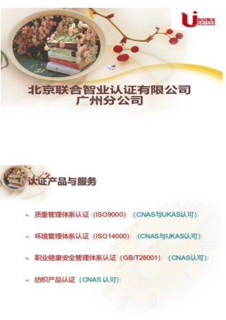 XXXX版DIS版ISO9001标准术语_7大原理(翻译版不是正式