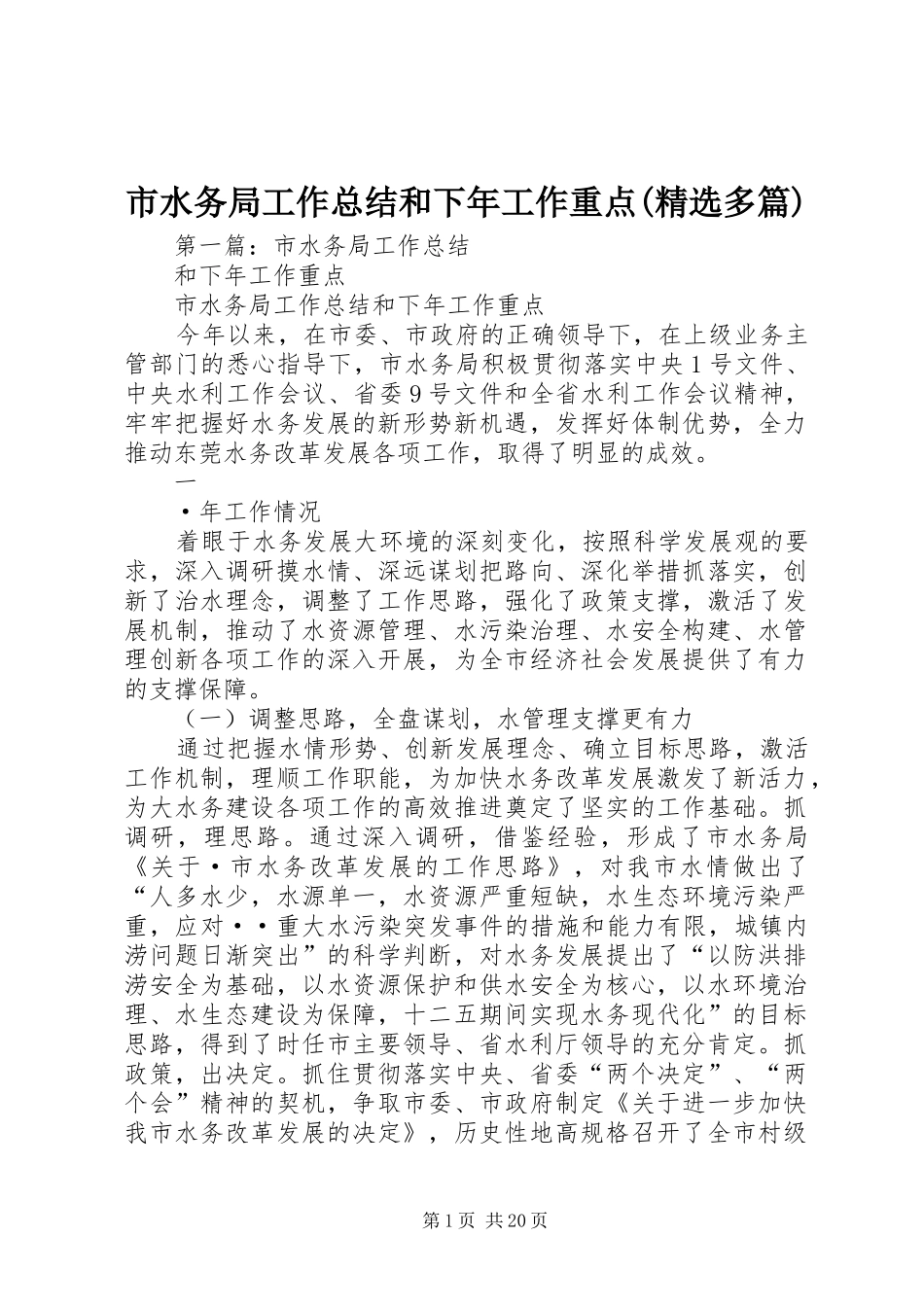 市水务局工作总结和下年工作重点(精选多篇)_第1页