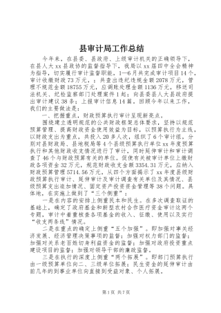 县审计局工作总结