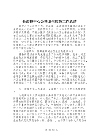 县疾控中心公共卫生应急工作总结